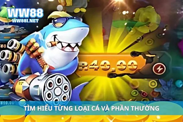 Tìm hiểu từng loại cá và phần thường