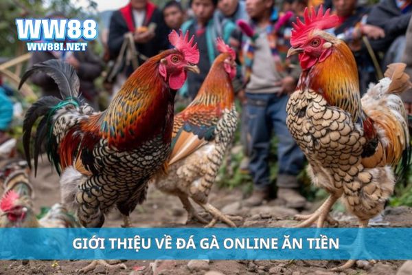 Giới thiệu về đá gà online ăn tiền