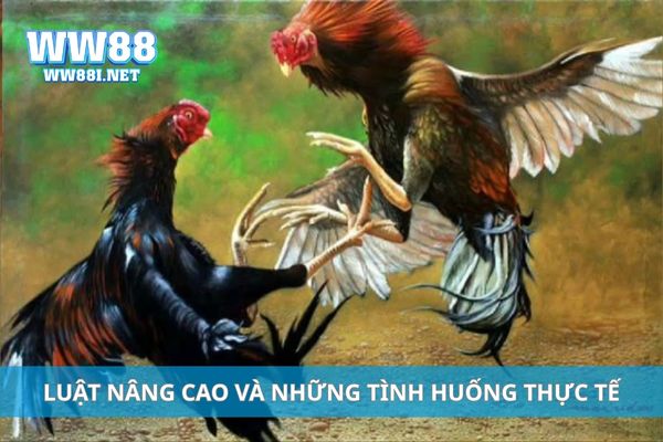 Luật nâng cao và những tình huống thực tế