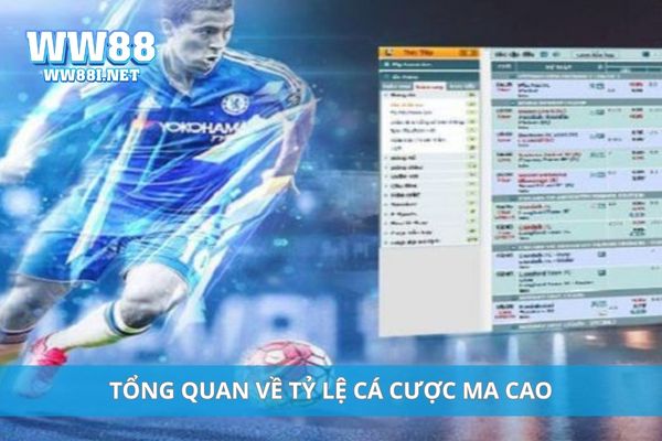 Tổng quan về tỷ lệ cá cược Ma Cao